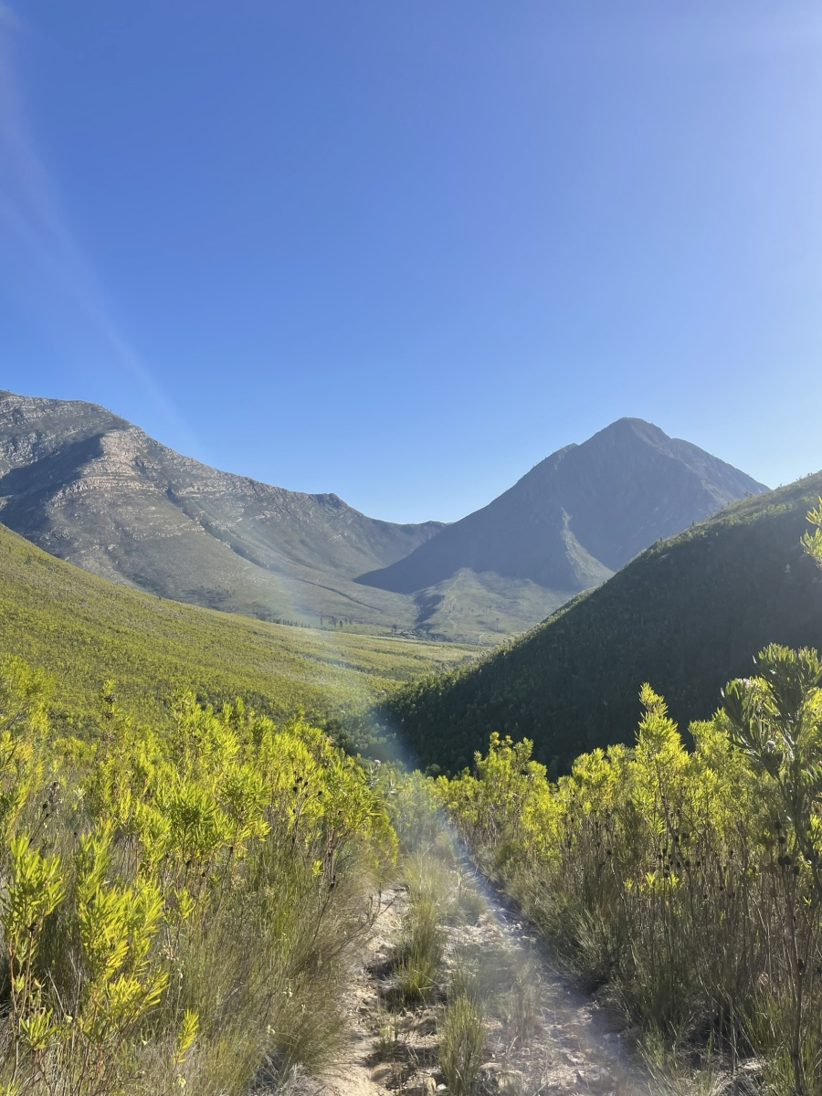 0 Bedroom Property for Sale in Joubertina Eastern Cape